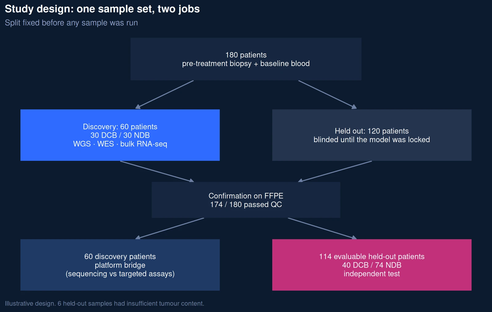 Study design: 180 patients split into a 60-patient discovery cohort and 120 held-out patients