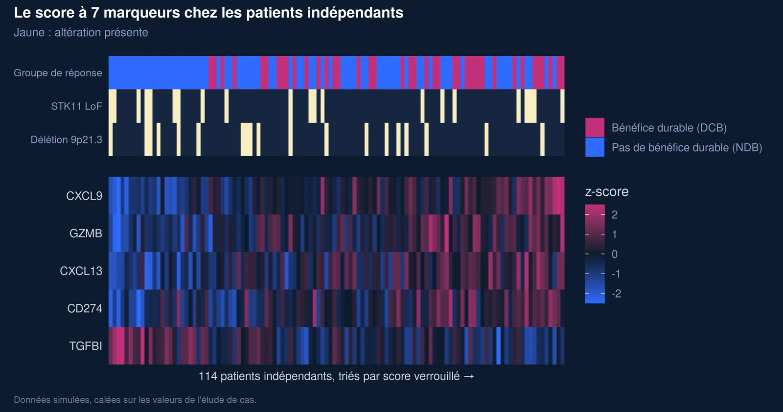 Heatmap des marqueurs d'expression, du statut STK11 et 9p21.3 chez 114 patients indépendants triés par score