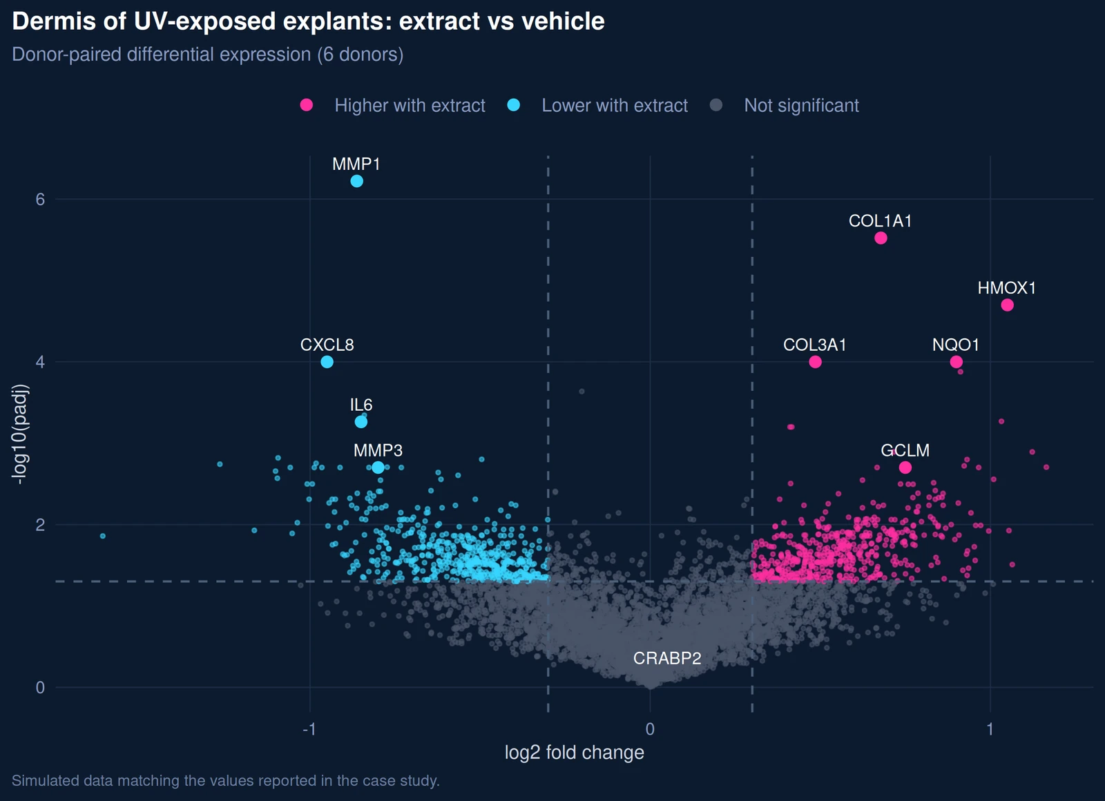 Volcano plot of UV-exposed explant dermis, extract versus vehicle, with matrix, NRF2 and SASP genes labelled
