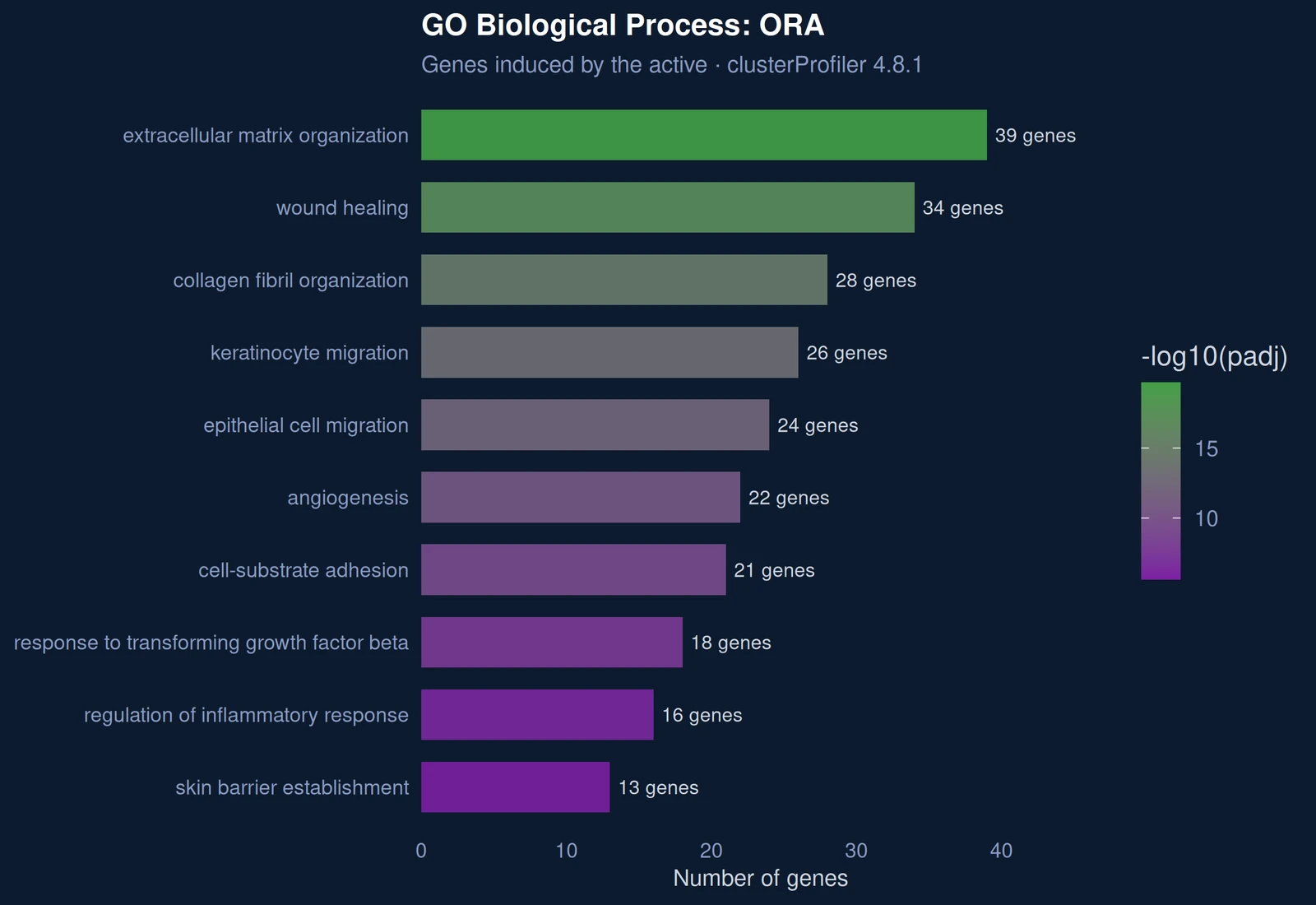 GO Biological Process over-representation analysis of induced genes