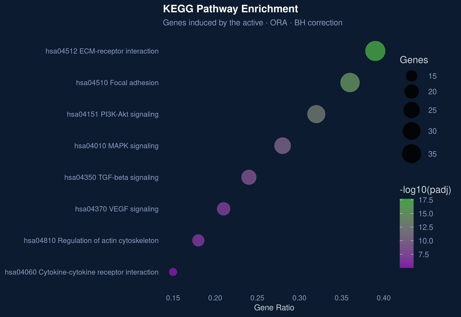 Figure d'enrichissement des voies KEGG issue du rapport RNA-seq de démonstration