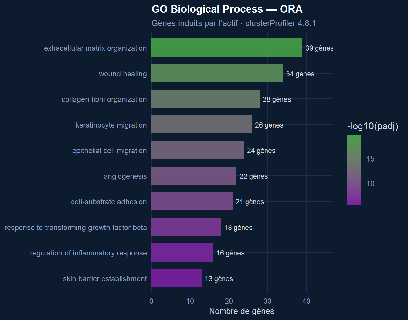 GO Biological Process over-representation analysis