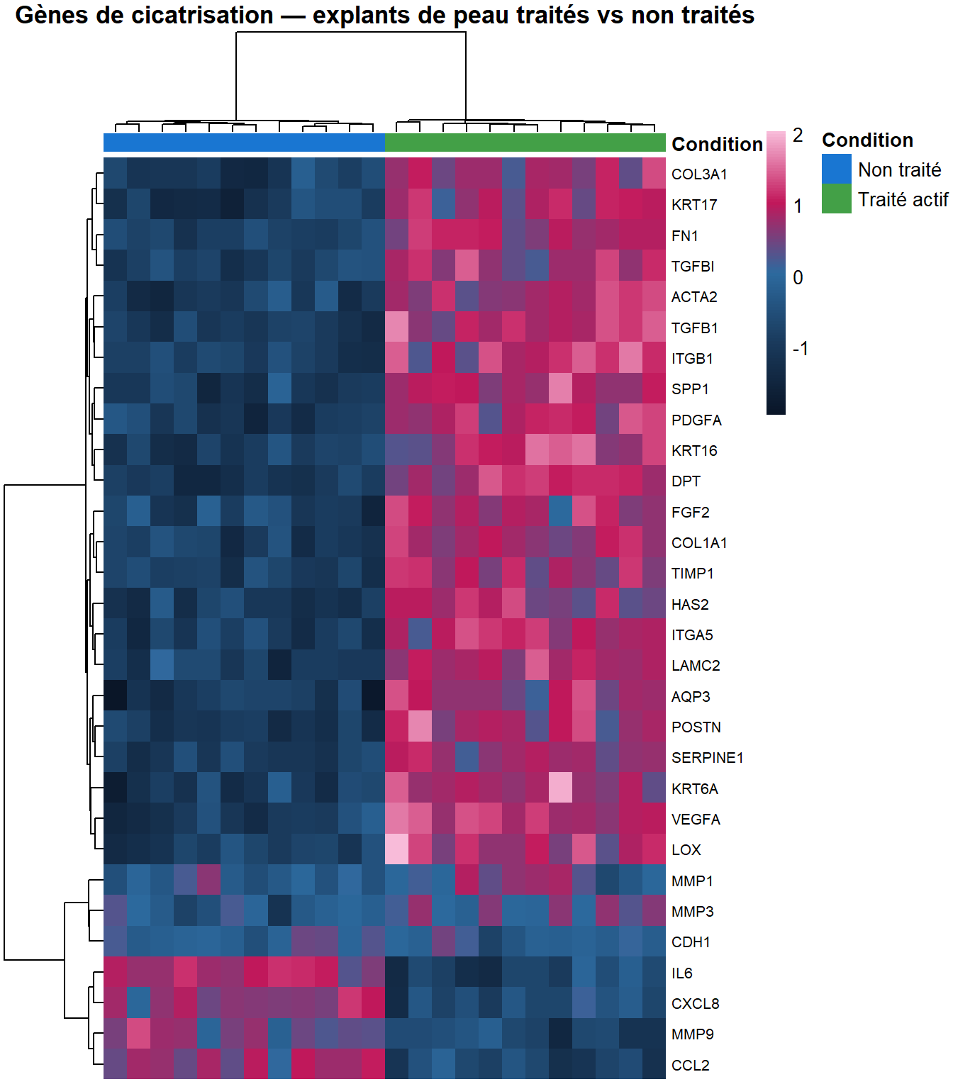 Heatmap of wound-healing genes across treated and untreated skin explants