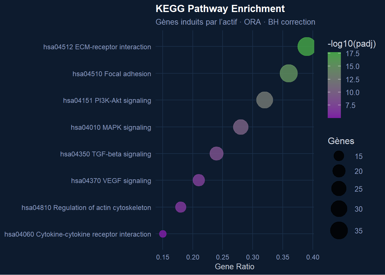 Figure d'enrichissement des voies KEGG issue de l'étude de cas sur la cicatrisation cutanée